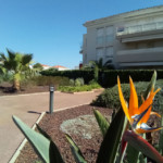 La résidence appartement, location Juan les pins, location vacances, appartement vacances Juan les pins, juan flore, airbnb, abritel, booking.com, locasun, riviera, cote d azur, alpes maritimes, vacances cannes