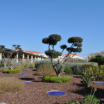 La résidence avec la piscine en fond appartement, location Juan les pins, location vacances, appartement vacances Juan les pins, juan flore, airbnb, abritel, booking.com, locasun, riviera, cote d azur, alpes maritimes, location juan flore