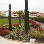 La coulée verte du Juan Flore entre la résidence et la voie ferrée appartement location Juan les pins, location vacances, appartement vacances Juan les pins, juan flore, airbnb, abritel, booking.com, locasun, riviera, cote d azur, alpes maritimes